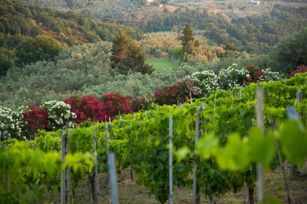 Casa Vacanze Casa Italia Lamporecchio Eksteriør billede