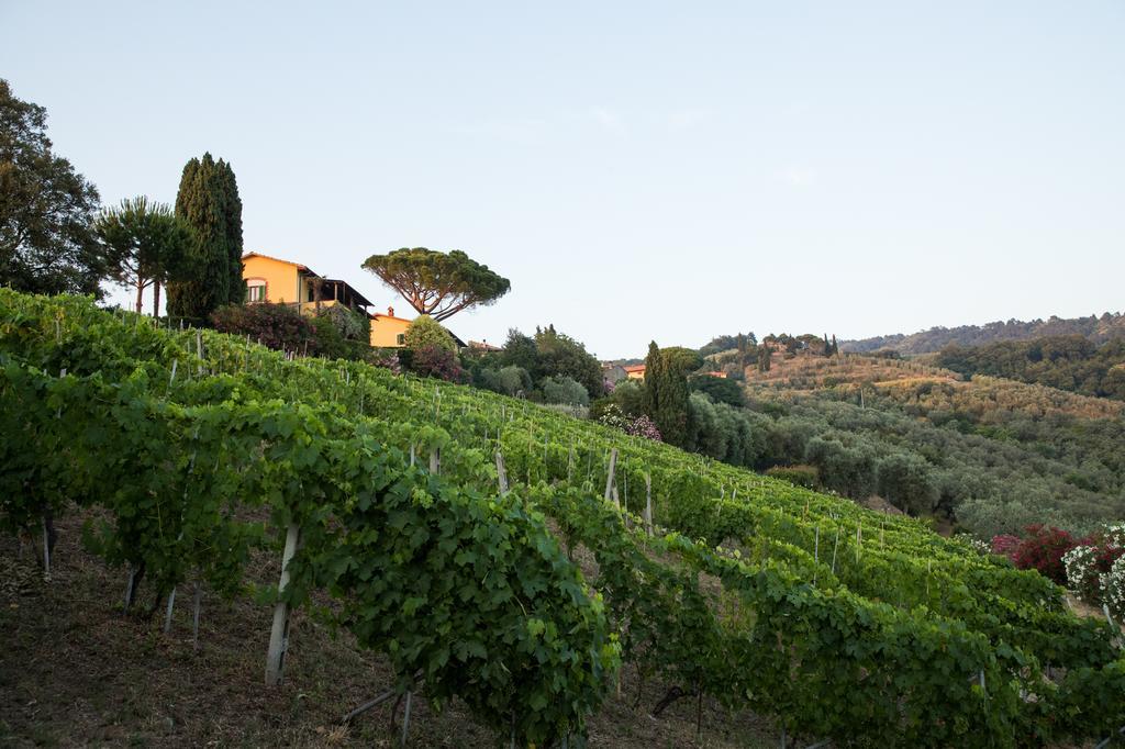 Casa Vacanze Casa Italia Lamporecchio Eksteriør billede