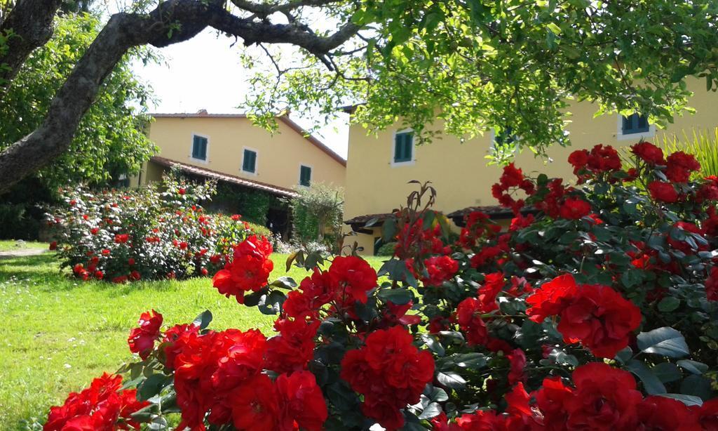 Casa Vacanze Casa Italia Lamporecchio Eksteriør billede